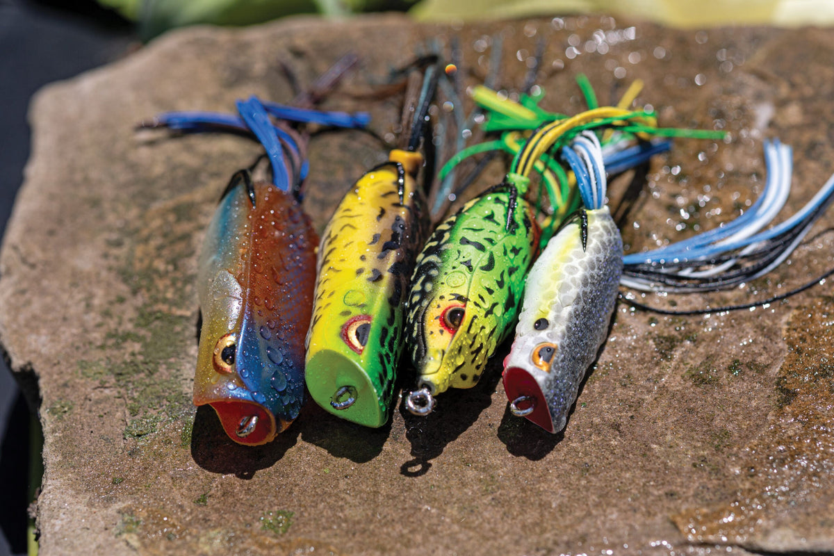 Grub vs. Slim Minnow vs. Frog: Quel leurre choisir?